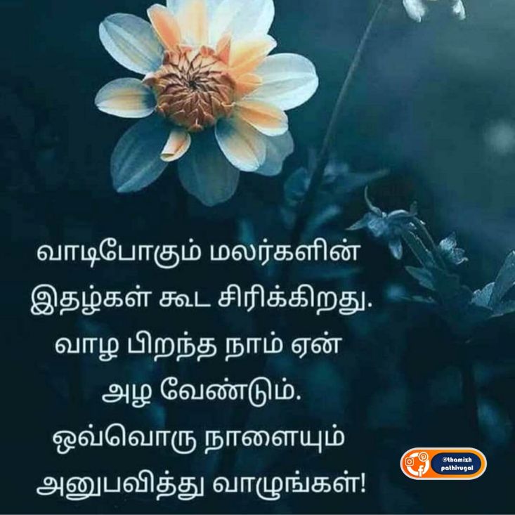 malargal - best love image